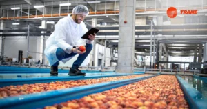 Read more about the article Ensuring Freshness and Safety in UAE Food Industry with Trane Cold Storage