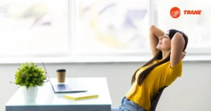 Read more about the article Comfort Cooling and Employee Productivity